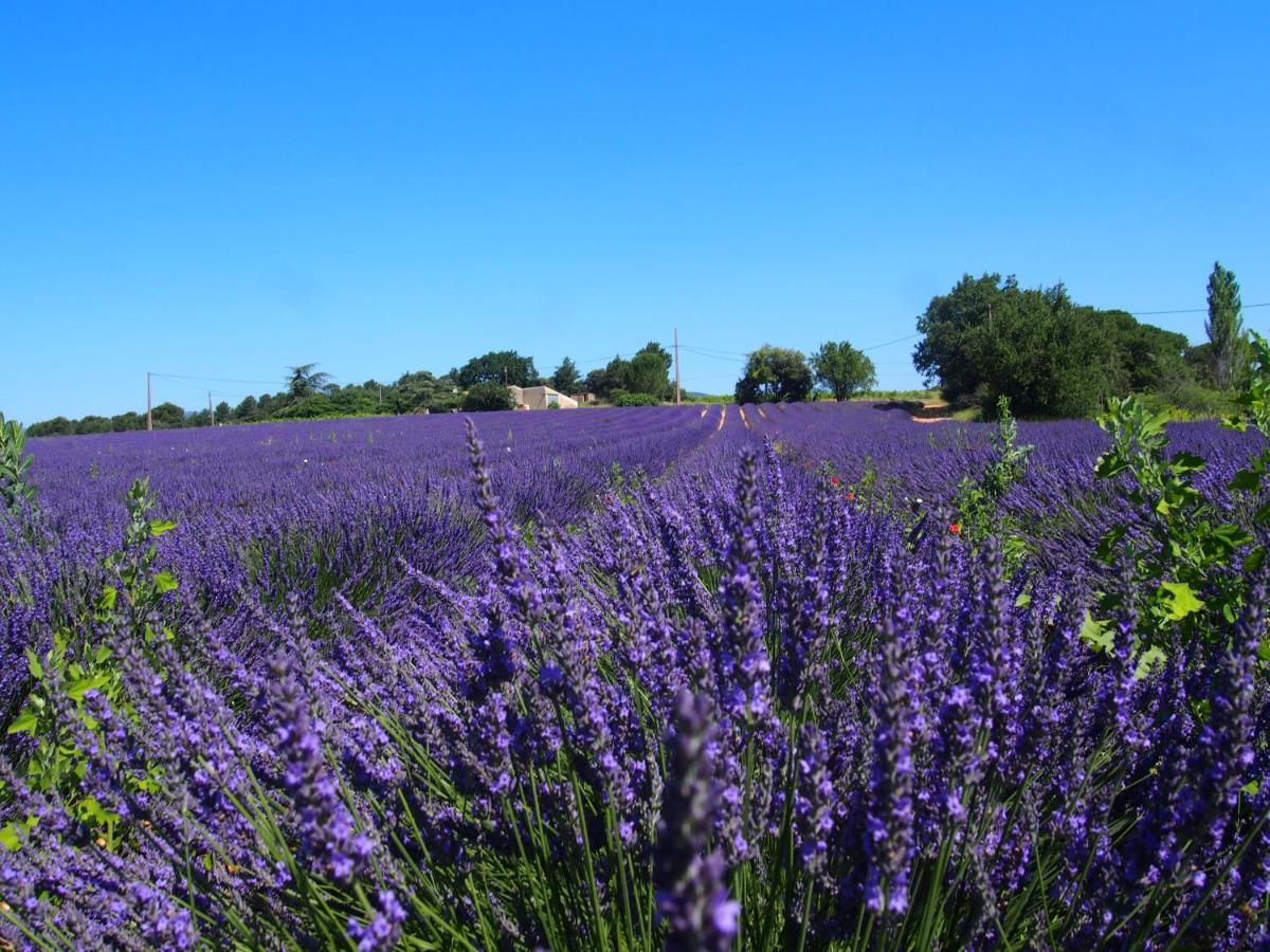 La Vita Dolce, Luberon Grambois Εξωτερικό φωτογραφία